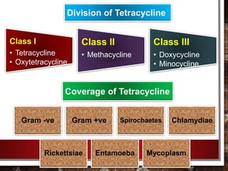 Class I
• Tetracycline
• Oxytetracycline
Class II
• Methacycline
Class III
• Doxycycline
• Minocycline
Gram -ve Gram +ve Spirochaetes Chlamydiae
Rickettsiae Entamoeba Mycoplasm
Division of Tetracycline
Coverage of Tetracycline
 