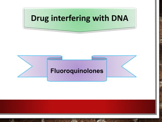 Fluoroquinolones
Drug interfering with DNA
 
