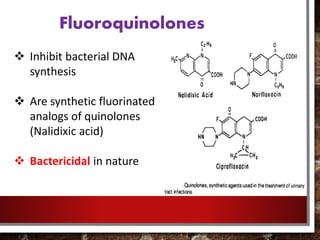 Fluoroquinolones
 Inhibit bacterial DNA
synthesis
 Are synthetic fluorinated
analogs of quinolones
(Nalidixic acid)
 Bactericidal in nature
 