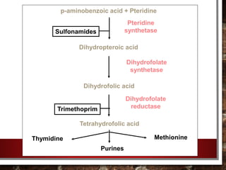 p-aminobenzoic acid + Pteridine
Dihydropteroic acid
Dihydrofolic acid
Tetrahydrofolic acid
Pteridine
synthetase
Dihydrofolate
synthetase
Dihydrofolate
reductase
Thymidine
Purines
Methionine
Trimethoprim
Sulfonamides
 