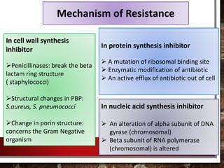 Mechanism of Resistance
In cell wall synthesis
inhibitor
Penicillinases: break the beta
lactam ring structure
( staphylococci)
Structural changes in PBP:
S.aureus, S. pneumococci
Change in porin structure:
concerns the Gram Negative
organism
In protein synthesis inhibitor
 A mutation of ribosomal binding site
 Enzymatic modification of antibiotic
 An active efflux of antibiotic out of cell
In nucleic acid synthesis inhibitor
 An alteration of alpha subunit of DNA
gyrase (chromosomal)
 Beta subunit of RNA polymerase
(chromosomal) is altered
 