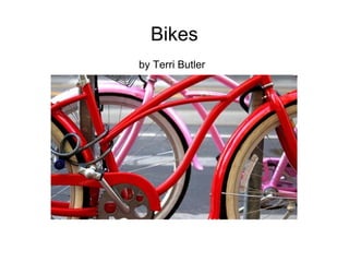 Bikes by Terri Butler 