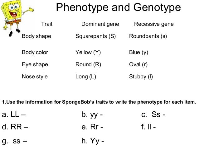 Worksheets Spongebob Genetics Worksheet spongebob genetics worksheet sharebrowse bikini bottom practice 4 02