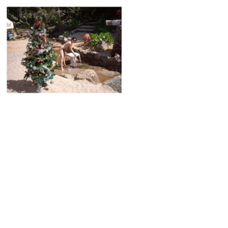 Bikini test july 5,2012 volume 40