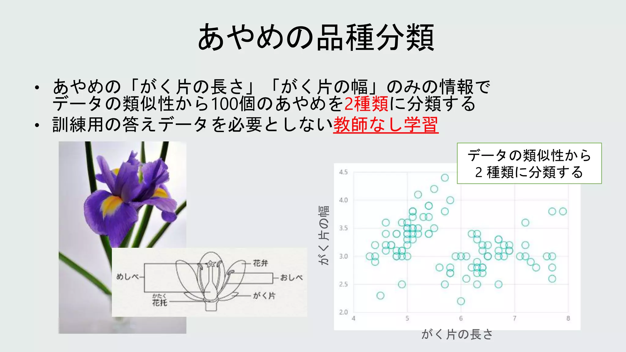 • あやめの「がく片の長さ」「がく片の幅」のみの情報で
データの類似性から100個のあやめを2種類に分類する
• 訓練用の答えデータを必要としない教師なし学習
がく片の幅
がく片の長さ
データの類似性から
2 種類に分類する
 