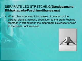 SEPARATE LEG STRETCHING(Dandayamana-
Bibhaktapada-Paschimotthanasana)
• When chin is forward it increases circulation of the
adrenal glands.Increase circulation to the brain.Pushing
stomach in strengthens the diaphragm.Releases tension
in the lower back muscles.
 