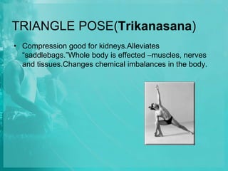 TRIANGLE POSE(Trikanasana)
• Compression good for kidneys.Alleviates
“saddlebags.”Whole body is effected –muscles, nerves
and tissues.Changes chemical imbalances in the body.
 