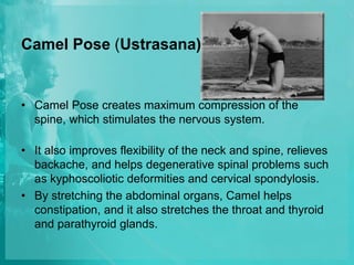 Camel Pose (Ustrasana)
• Camel Pose creates maximum compression of the
spine, which stimulates the nervous system.
• It also improves flexibility of the neck and spine, relieves
backache, and helps degenerative spinal problems such
as kyphoscoliotic deformities and cervical spondylosis.
• By stretching the abdominal organs, Camel helps
constipation, and it also stretches the throat and thyroid
and parathyroid glands.
 