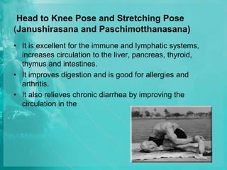 Head to Knee Pose and Stretching Pose
(Janushirasana and Paschimotthanasana)
• It is excellent for the immune and lymphatic systems,
increases circulation to the liver, pancreas, thyroid,
thymus and intestines.
• It improves digestion and is good for allergies and
arthritis.
• It also relieves chronic diarrhea by improving the
circulation in the
 