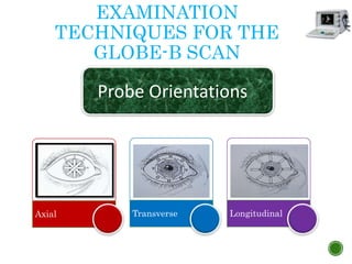 EXAMINATION
TECHNIQUES FOR THE
GLOBE-B SCAN
Axial Transverse Longitudinal
Probe Orientations
 
