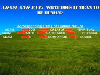 ADAM AND EVEADAM AND EVE:: WHAT DOES IT MEAN TOWHAT DOES IT MEAN TO
BE HUMAN?BE HUMAN?
Corresponding Parts of Human Nature
ADAM GOD CREATOR SPIRITUAL
ADAM EARTH CARETAKER PHYSICAL
ADAM EVE COMPANION SOCIAL
 