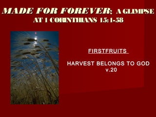 MADE FOR FOREVERMADE FOR FOREVER:: A GLIMPSEA GLIMPSE
AT 1 CORINTHIANS 15:1-58AT 1 CORINTHIANS 15:1-58
FIRSTFRUITS
HARVEST BELONGS TO GOD
v.20
 