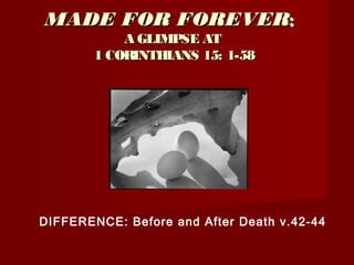 MADE FOR FOREVERMADE FOR FOREVER::
A GLIMPSE ATA GLIMPSE AT
1 CORINTHIANS 15: 1-581 CORINTHIANS 15: 1-58
DIFFERENCE: Before and After Death v.42-44
 
