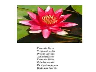 Flores são flores Vivas num jardim Pessoas são boas Já nascem assim Flores são flores Colhidas sem dó Por alguém que ama E não quer ficar só. 