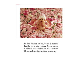 Se não houver frutos, valeu a beleza das flores; se não houver flores, valeu a sombra das folhas; se não houver folhas, valeu a intenção da semente. 