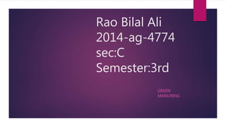 Rao Bilal Ali
2014-ag-4774
sec:C
Semester:3rd
GREEN
MANURING
 