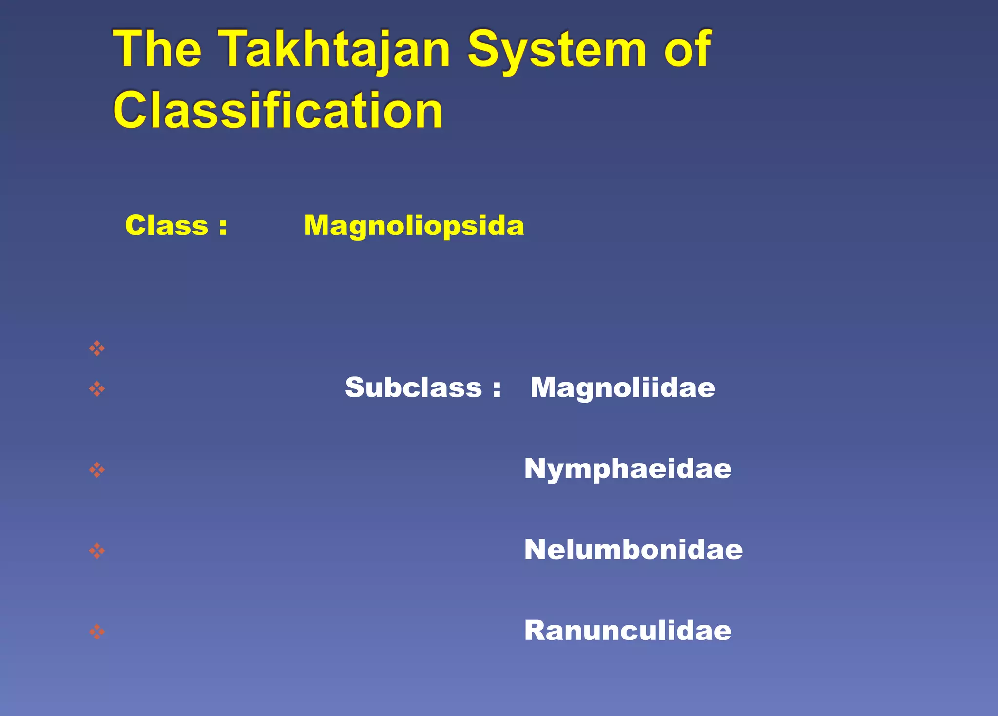 Class : Magnoliopsida

 Subclass : Magnoliidae
 Nymphaeidae
 Nelumbonidae
 Ranunculidae
 