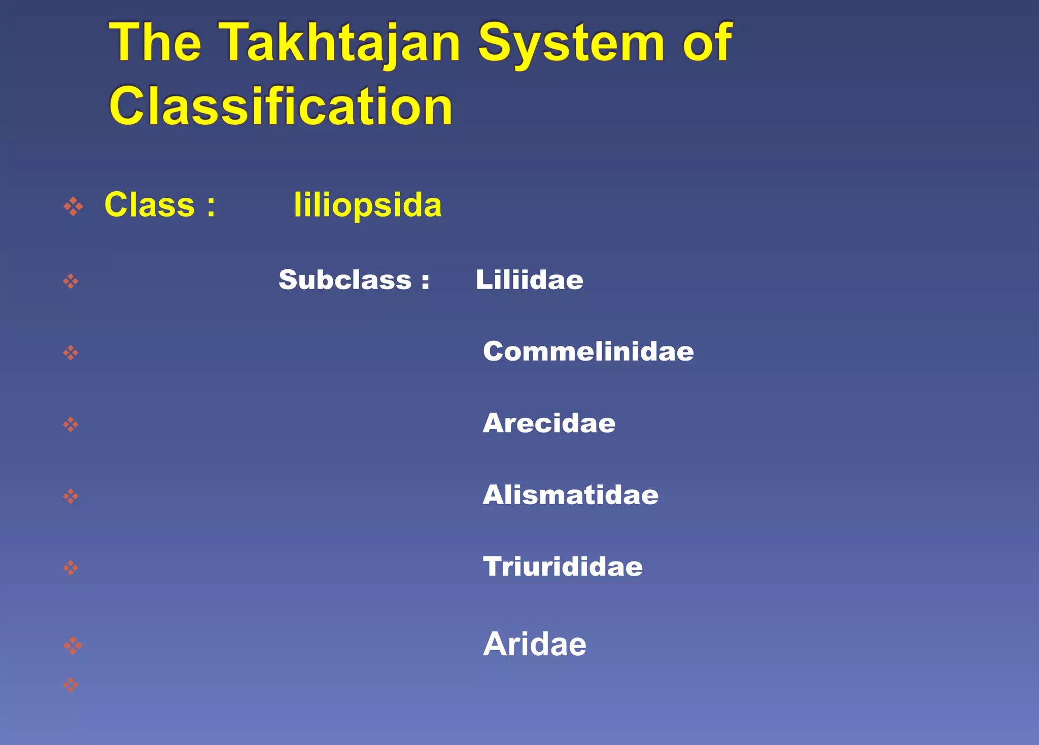  Class : liliopsida
 Subclass : Liliidae
 Commelinidae
 Arecidae
 Alismatidae
 Triurididae
 Aridae

 