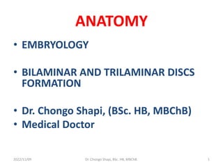 ANATOMY
• EMBRYOLOGY
• BILAMINAR AND TRILAMINAR DISCS
FORMATION
• Dr. Chongo Shapi, (BSc. HB, MBChB)
• Medical Doctor
2022/11/09 Dr. Chongo Shapi, BSc. HB, MBChB. 1
 