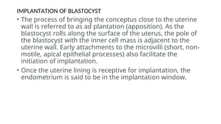 Comprehensive Overview of Bilaminar Disc Formation and Implantation ...