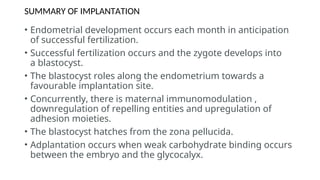 Comprehensive Overview of Bilaminar Disc Formation and Implantation ...