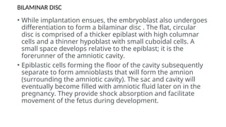 Comprehensive Overview of Bilaminar Disc Formation and Implantation ...