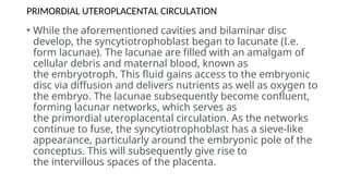 Comprehensive Overview of Bilaminar Disc Formation and Implantation ...