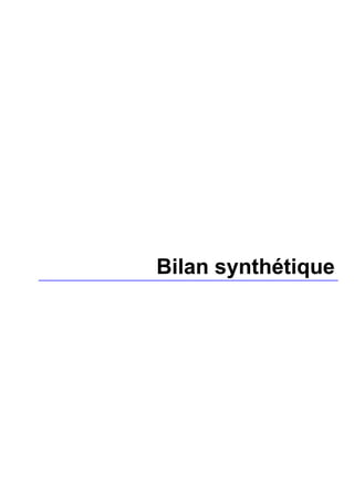 Bilan synthétique
 