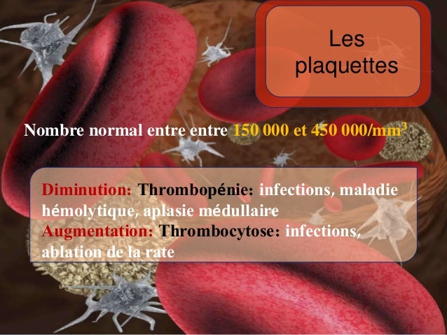 Bilan biologique exposéamine radhouani2016