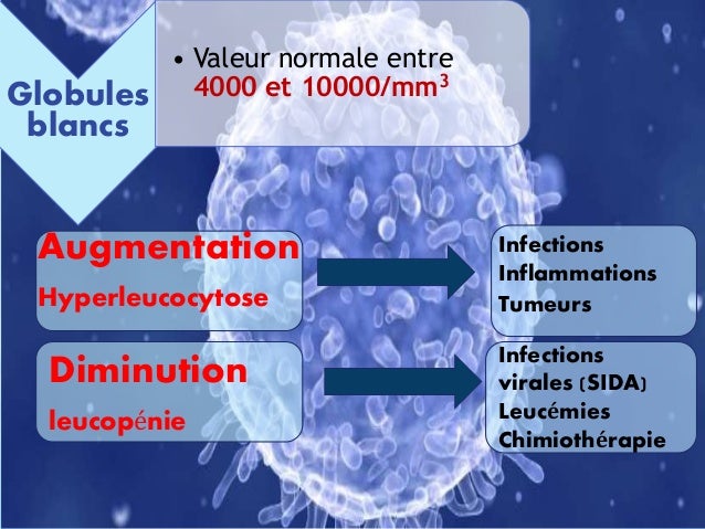 Bilan biologique exposéamine radhouani2016