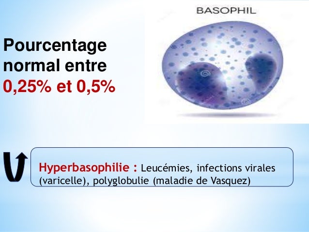 Bilan biologique exposéamine radhouani2016