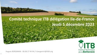 Hugues BERGAMINI - 06 08 27 94 94 / h.bergamini@itbfr.org
1
Comité technique ITB délégation Ile-de-France
Jeudi 5 décembre 2023
 