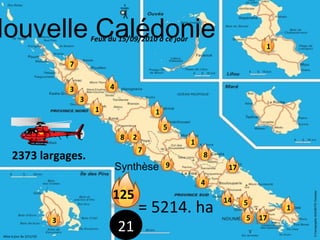 Nouvelle Calédonie Feux du 15/09/2010 à ce jour 21 Synthèse Mise à jour du 3/11/10 = 5214. ha 5 2373 largages. 4 3 8 3 7 1 9 7 14 17 5 5 1 3 125 17 8 S A P E U R S P O M P I E R S S A P E U R S P O M P I E R S S A P E U R S P O M P I E R S S A P E U R S P O M P I E R S S A P E U R S P O M P I E R S ECUREUIL 4 1 2 1 1 