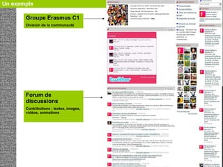 Un exemple  Groupe Erasmus C1 Division de la communauté Forum de discussions Contributions : textes, images, vidéos, animations 