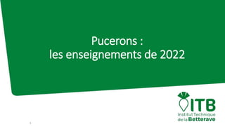 Pucerons :
les enseignements de 2022
1
 