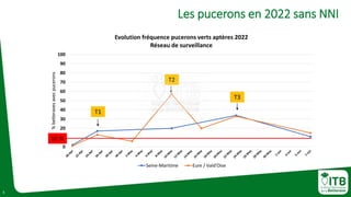0
10
20
30
40
50
60
70
80
90
100
%
betteraves
avec
pucerons
Evolution fréquence pucerons verts aptères 2022
Réseau de surv...