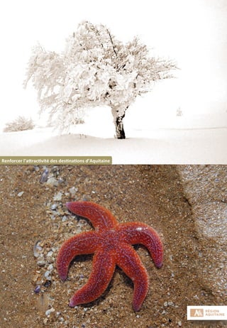 8	
  
Renforcer	
  l’aFrac;vité	
  des	
  des;na;ons	
  d’Aquitaine	
  
 