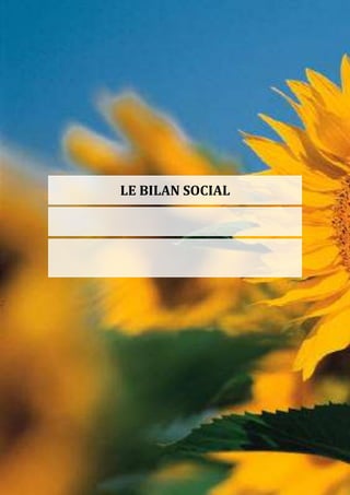 LE BILAN SOCIAL
 