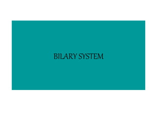 BILARY SYSTEM
 