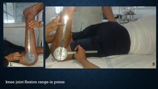 knee joint flexion range in prone
L R
 