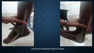 Left dorsi and plantar flexion ranges
 