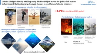 Climate change is already affecting every inhabited region across the globe, with human
influence contributing to many obs...