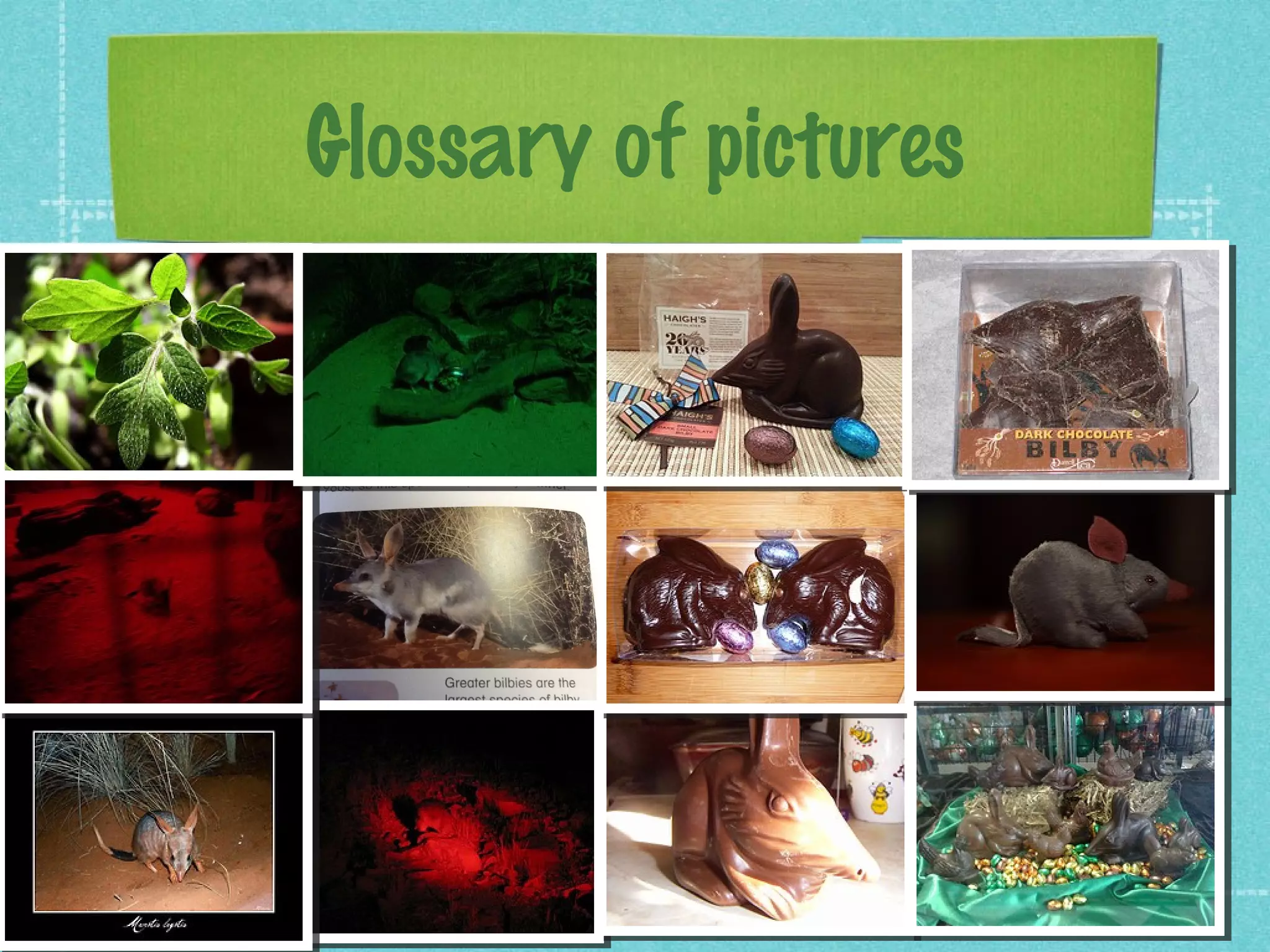 Glossary of pictures
 