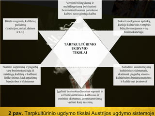 2 pav.  Tarpkultūrinio ugdymo tikslai Austrijos ugdymo sistemoje Įgalinti besimokančiuosius suprasti ir vertinti kultūrinius, kalbinius ir etninius skirtumus, o etnocentrizmą vertinti kaip rasizmą Ištirti imigrantų kultūrinį palikimą (tradicijos, mitai, dainos ir t. t.) TARPKULTŪRINIO UGDYMO  TIKSLAI Sukurti mokymosi aplinką, kurioje kultūrinės vertybės būtų formuojamos visų besimokančiųjų  Sužadinti susidomėjimą kultūriniais skirtumais, skatinant  pagarbą visoms kultūrinėms bendruomenėms ir kultūrinei įvairovei Skatinti supratimą ir pagarbą tarp besimokančiųjų iš skirtingų kultūrų ir kalbinio išsilavinimo, kad atpažintų bendrybes ir skirtumus Vertinti bilingvizmą ir multilingvizmą bei skatinti besimokančiuosius pamokose kalbėti savo gimtąja kalba 