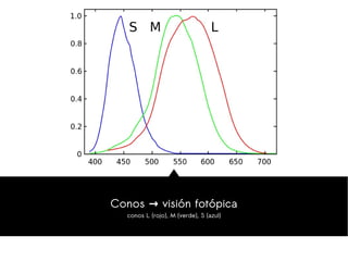 Problemas en la visión en color
protanopia/protanomalía (rojo), deuteranopia/deuteranomalía (verde), tritanopia/tritanomal...