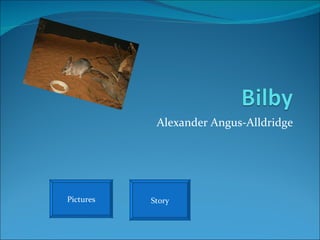 Alexander Angus-Alldridge Pictures Story 