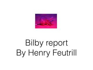 Bilby report
By Henry Feutrill
 