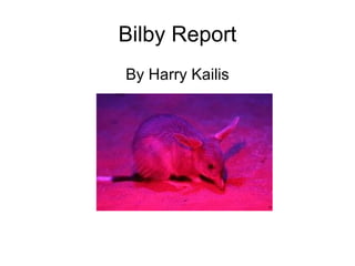By Harry Kailis
Bilby Report
 