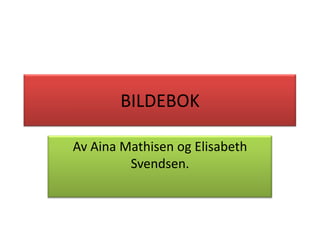 BILDEBOK Av Aina Mathisen og Elisabeth Svendsen. 