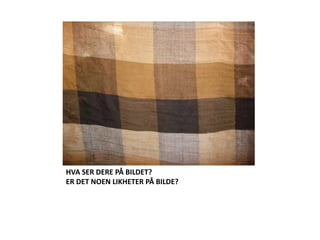 HVA SER DERE PÅ BILDET?ER DET NOEN LIKHETER PÅ BILDE? 